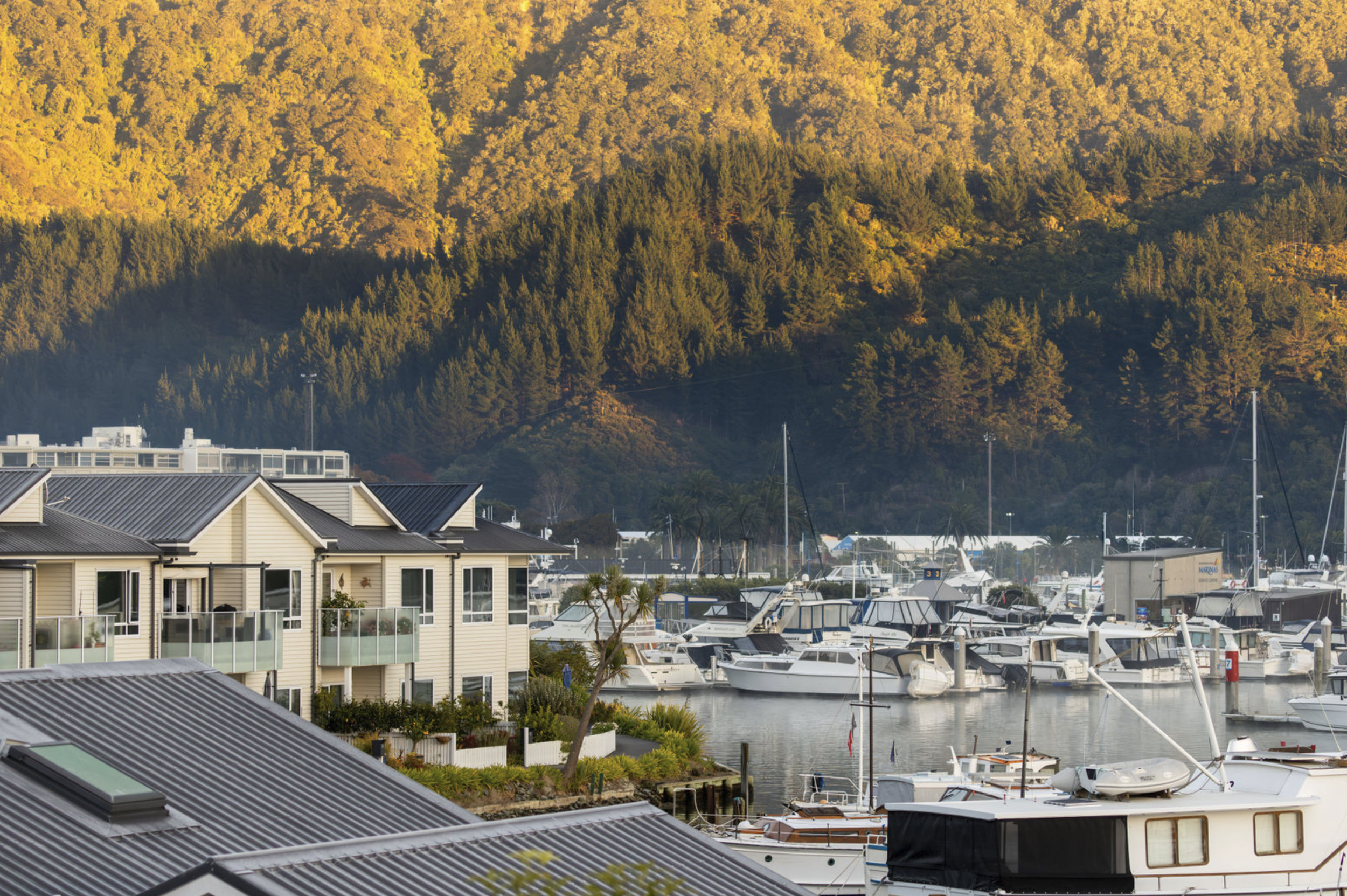 A marina with several boats docked near residential buildings, with a forested hillside in the background during sunset